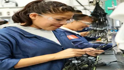 bosch planta celaya